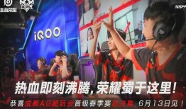 爆料16年总决赛视频,揭秘赛场上的激情与荣耀