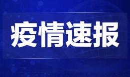 宜春热点爆料新闻视频,视频揭露惊人真相，引发社会关注