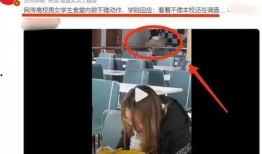 辣眼视频爆料网站,揭秘网络热点背后的惊人真相