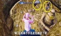 爆料老乔视频大全集在线观看,视频大全集在线观看，精彩瞬间一网打尽