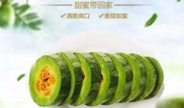 吃瓜社免费看,揭秘娱乐圈幕后故事
