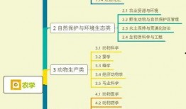 奶酪罐子爆料视频大全集,揭秘幕后真相与精彩瞬间