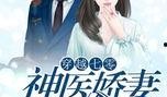 七零年神医吃瓜免费阅读,穿越时空的医术传奇