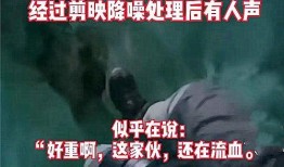 晚秋直播爆料苦难事件视频,揭开社会阴暗面