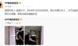狗仔虚假爆料事件视频,揭秘视频背后的真相与反思