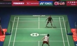 杨晨大神爆料王小羽视频,王小羽视频背后的惊人真相