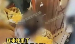 张小寒爆料了吗视频,幕后真相大曝光